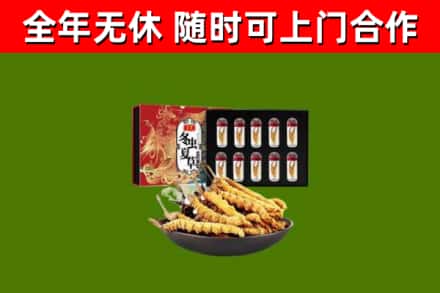 沅江市回收冬虫夏草价格